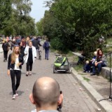 1408F 126 Berlin Mauerradweg